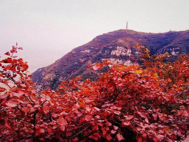 山西太原小店区旅游景点及特色美食太原旅游景点