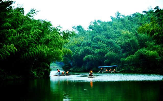中国最壮观的竹海——蜀南竹海，果然名不虚传