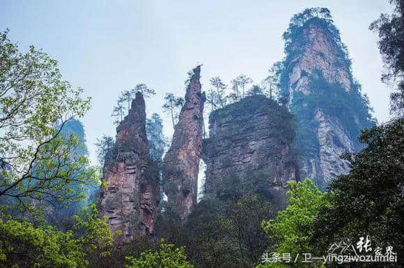 10月1日国庆假期去张家界自助游/自驾游旅游攻略之著名景点有哪些