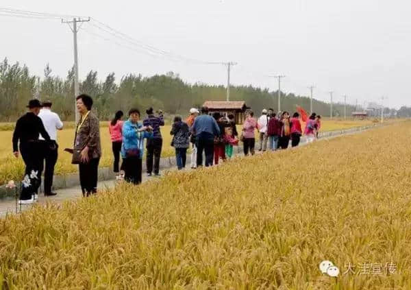 盘锦大洼各景区旅游火爆