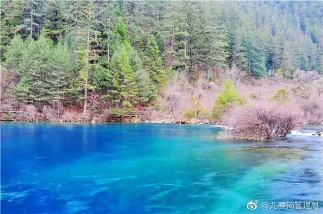 地震后，你还去九寨沟旅行摄影吗？《九寨沟摄影攻略》摄影师秋日里完美旅游目的地