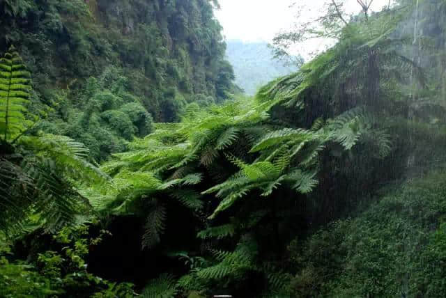 好去处 肇庆旅游景点--德庆盘龙峡