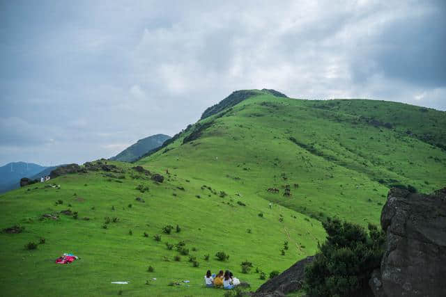 福州周边游：福清大姆山草场，不出福建也能看大草原