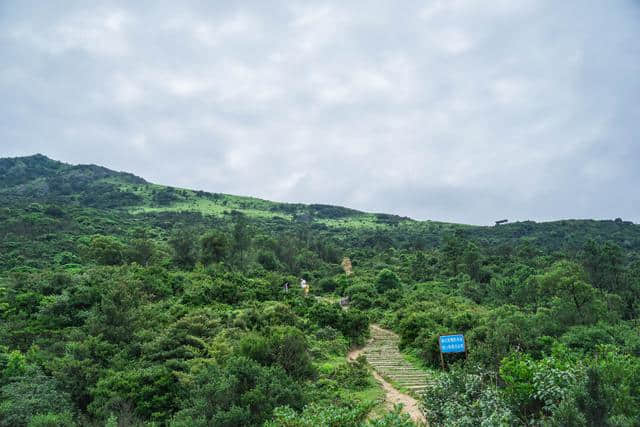 福州周边游：福清大姆山草场，不出福建也能看大草原