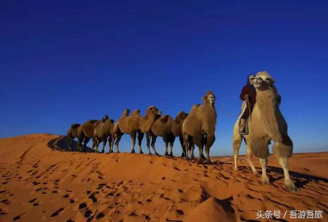 最佳旅行季来临！9月国内最适合游玩的地方，再不去可就错过啦