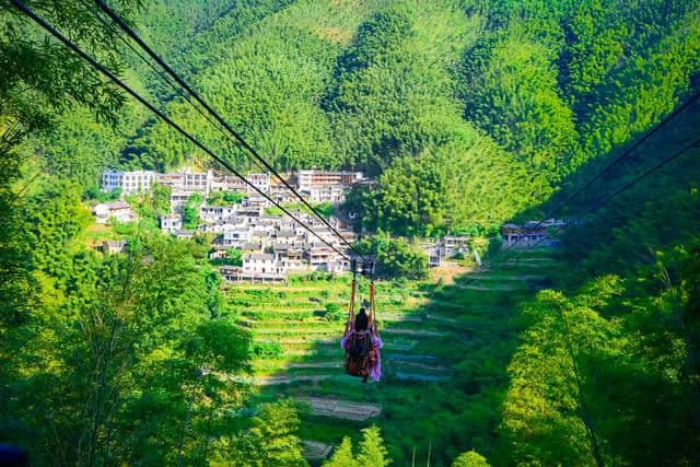 夏日避暑好去处，皖南深处的千亩竹海，离宏村5公里20分钟到达