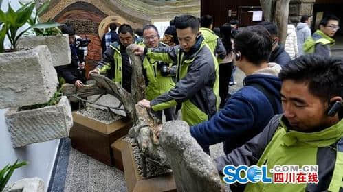 全国主流媒体打卡自贡旅游网红地：千年盐都、“东方龙宫”自贡恐龙博物馆