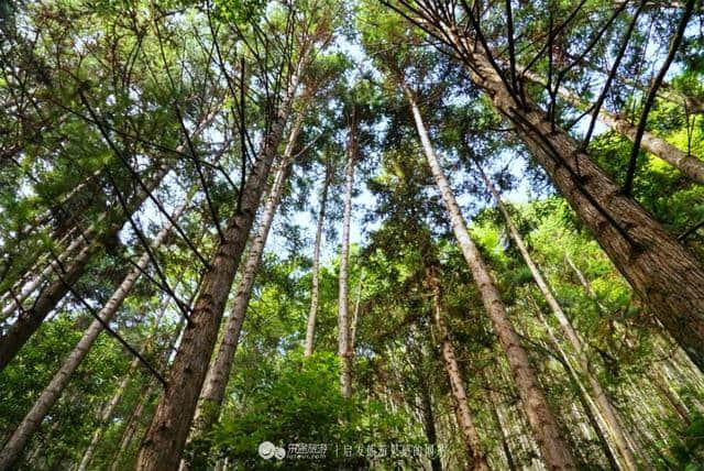 这里是福建的正中心，可有很多人不知道