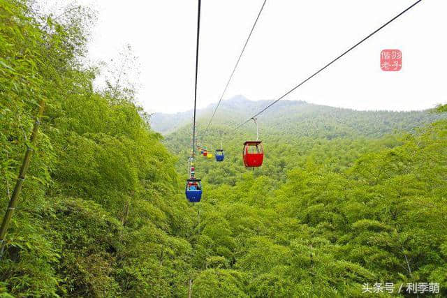 「透视旅行」坐着缆车看南山竹海