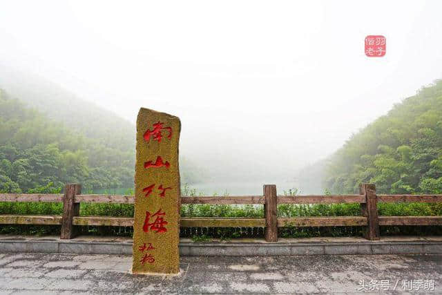 「透视旅行」坐着缆车看南山竹海