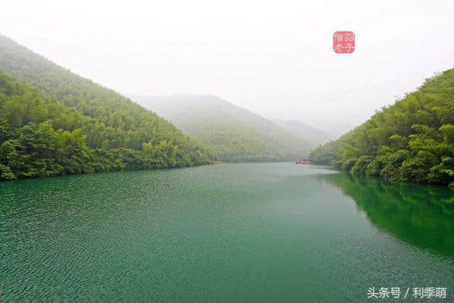 「透视旅行」坐着缆车看南山竹海