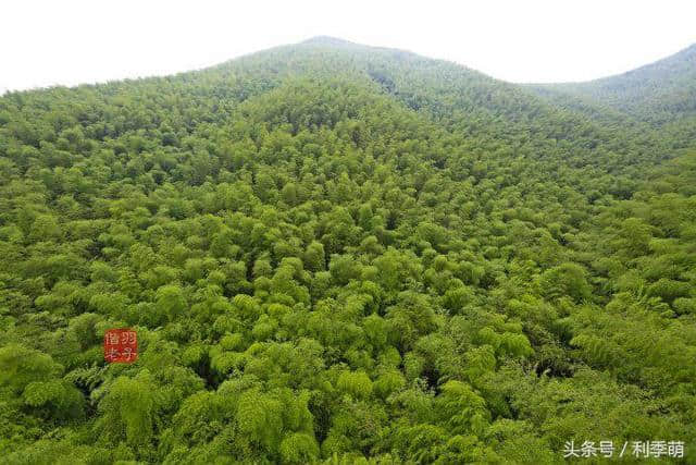 「透视旅行」坐着缆车看南山竹海