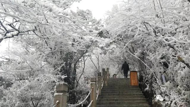 来梵净山坐山看雪，临树赏淞！