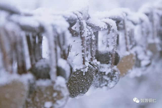 来梵净山坐山看雪，临树赏淞！