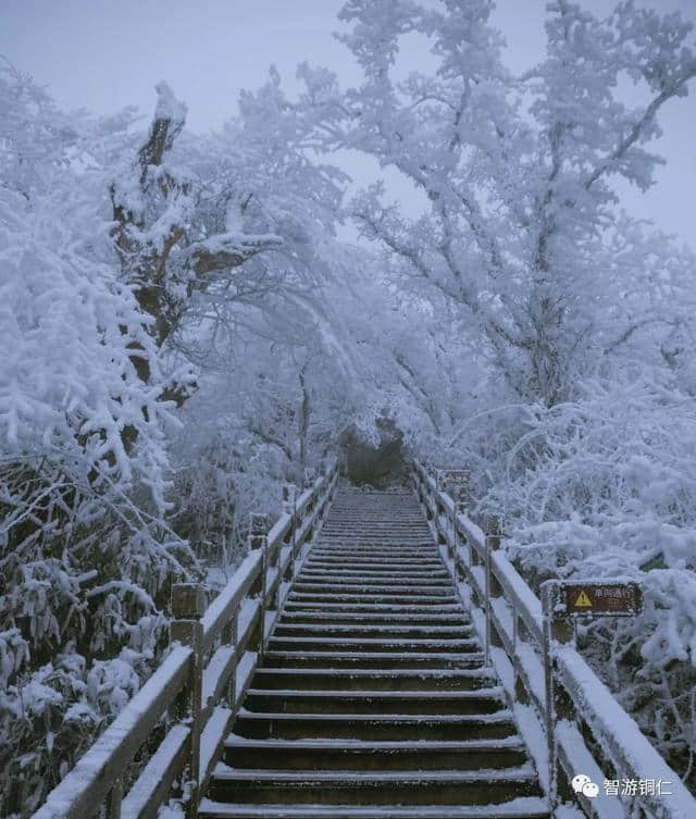 来梵净山坐山看雪，临树赏淞！