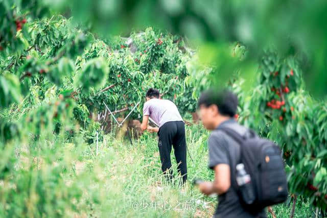 去山东蓬莱玩什么？这才是蓬莱正确的打开方式