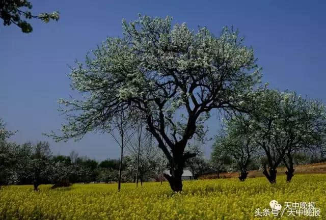 景美人少不花钱！驻马店周边15处胜地