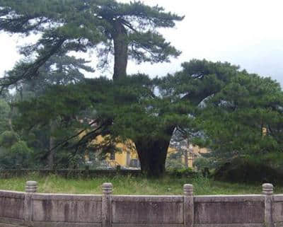 端午节去九华山旅游？九个必看景点你知道吗？想去的就收藏吧！