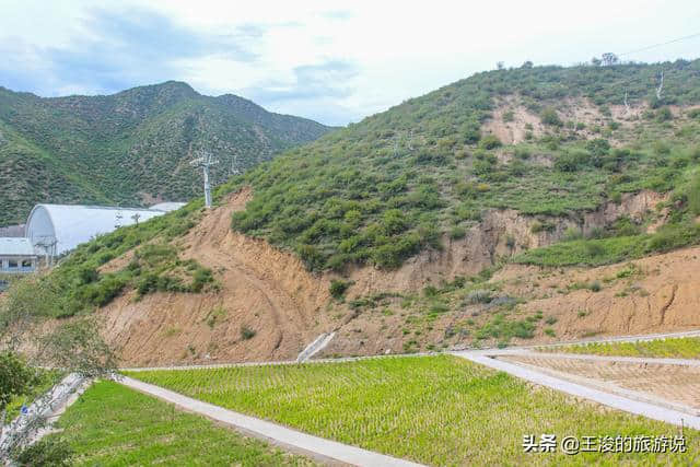 自驾游内蒙古，沿途的风景有多美？这片草原就让我觉得无比震撼