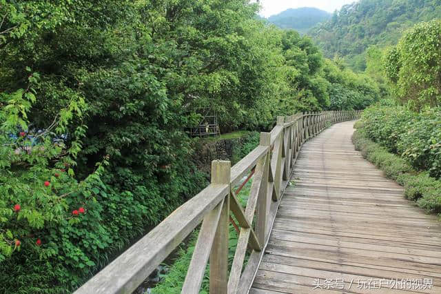 德庆盘龙峡，集薰衣草、栈道、峡谷、瀑布、水车于一体