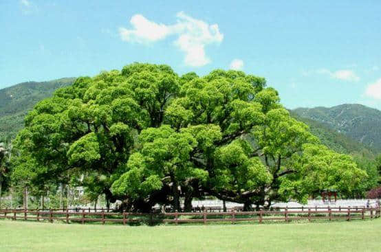 不要钱，福州景点任性玩！5月19日中国旅游日，文旅活动好精彩