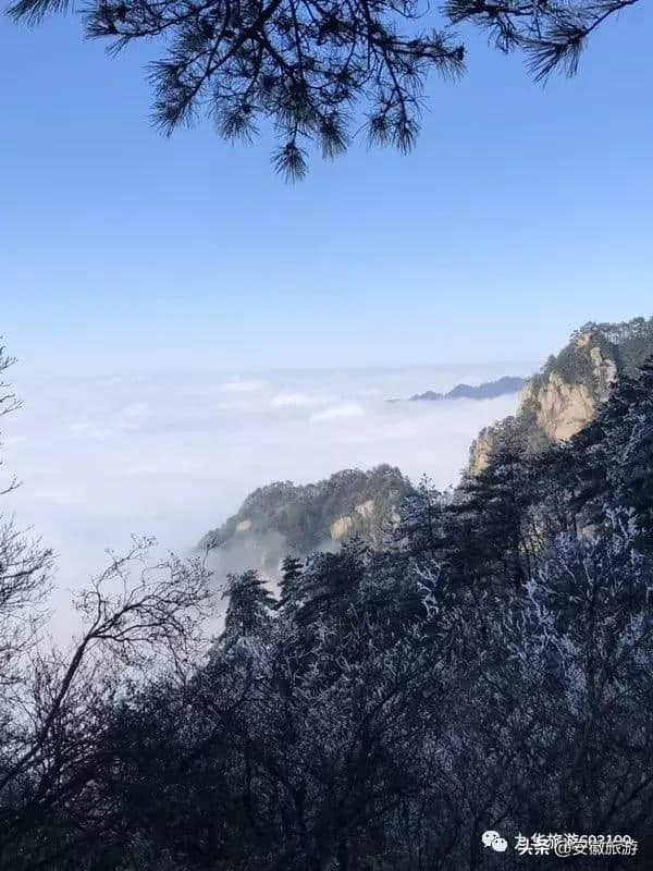 云海、宝光、雾凇……冬雨洗过的九华山奇景纷呈，美到窒息！