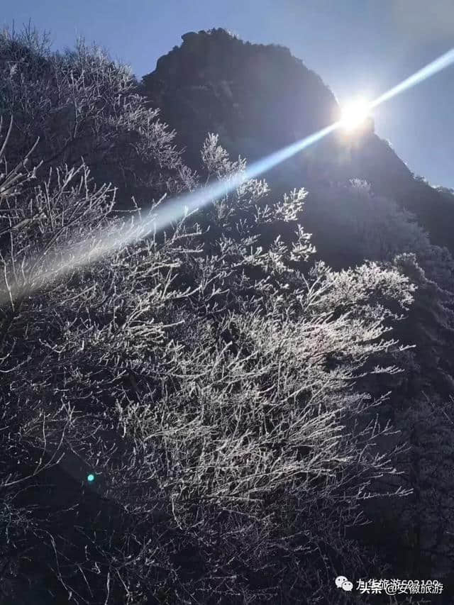 云海、宝光、雾凇……冬雨洗过的九华山奇景纷呈，美到窒息！