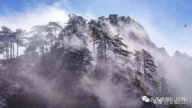 云海、宝光、雾凇……冬雨洗过的九华山奇景纷呈，美到窒息！