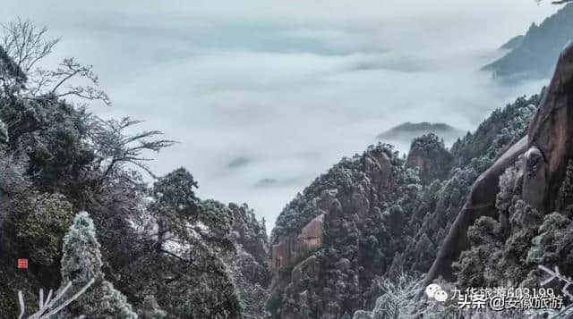 云海、宝光、雾凇……冬雨洗过的九华山奇景纷呈，美到窒息！