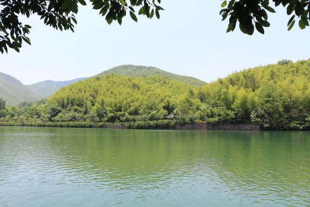 宜兴竹海，洗肺之旅，徒步华东第一竹海，道诗意情怀