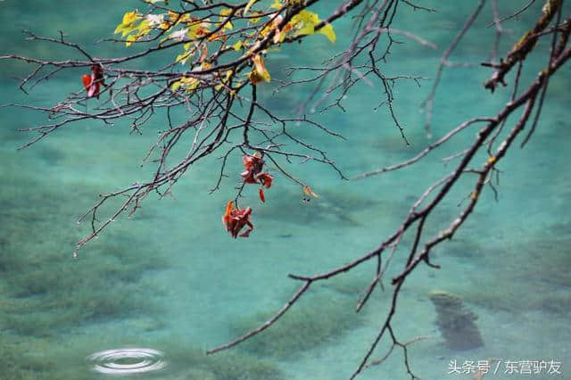 九寨沟风景随拍，风景图片集