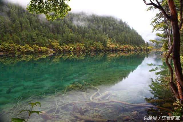 九寨沟风景随拍，风景图片集