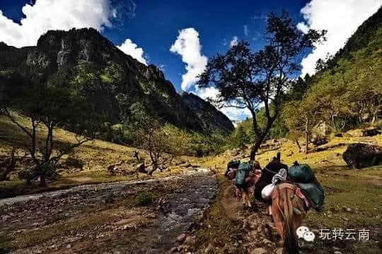 暑假来了，带上你的熊孩子来云南玩一场徒步旅行！