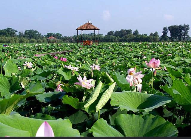 十一黄金周盘锦旅游 这些景点你不可错过