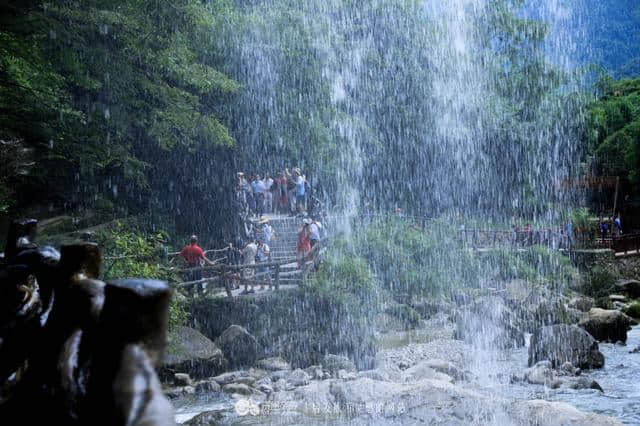 宜昌秭归三峡竹海，是男人就跟我去悬崖上飞