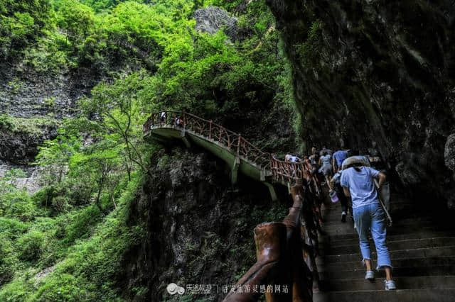 宜昌秭归三峡竹海，是男人就跟我去悬崖上飞