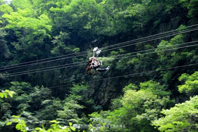 宜昌秭归三峡竹海，是男人就跟我去悬崖上飞