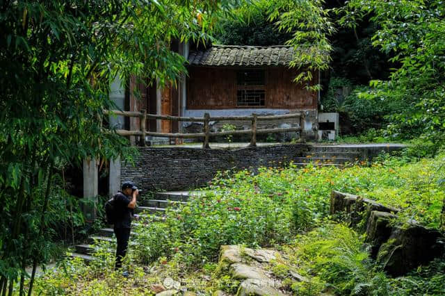 宜昌秭归三峡竹海，是男人就跟我去悬崖上飞