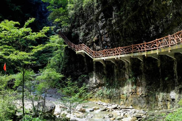 宜昌秭归三峡竹海，是男人就跟我去悬崖上飞