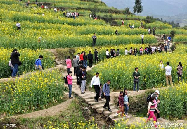 如今农村旅游业发展迅速，农村旅游时需要注意以下小事项