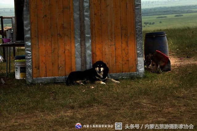 异域风情——蒙古国之旅