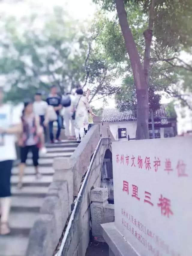 旅行|同里自然有故事