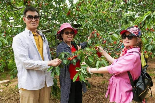 文旅融合 美好生活 | 2019中国旅游日陕西分会场暨铜川樱桃旅游节圆满举办！