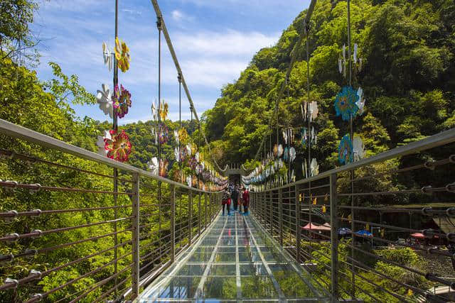 福建3A景区，名为皇帝洞实际是条峡谷，有23处瀑布闻名