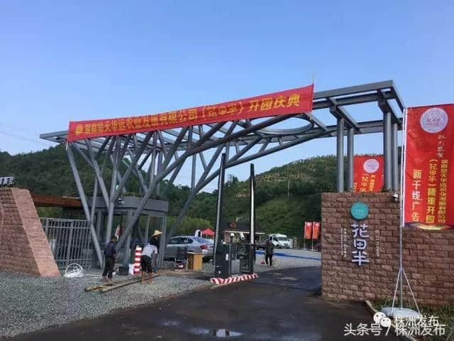 株洲旅游攻略—“花田半”国庆开园（白关花海进入盛花期），多个平台直播