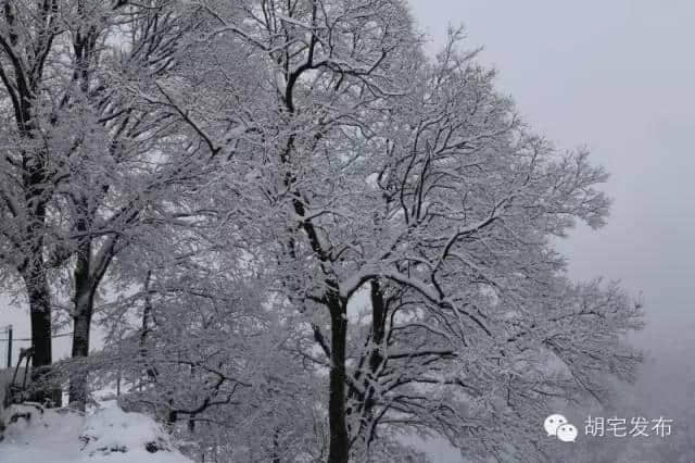 雪中的横路，别样美