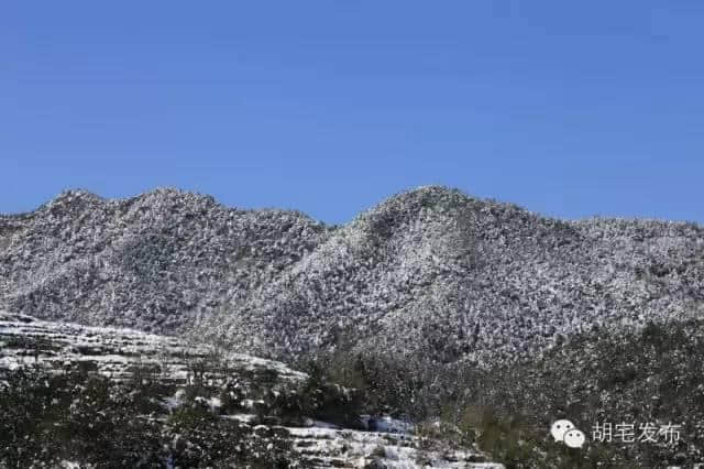 雪中的横路，别样美