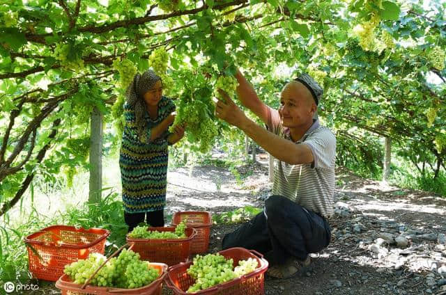 新疆北疆旅游线路如何选择？