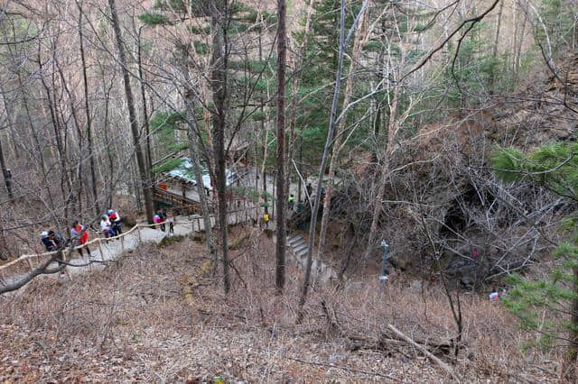 镜泊湖火山口地下森林，探秘神奇的火山世界