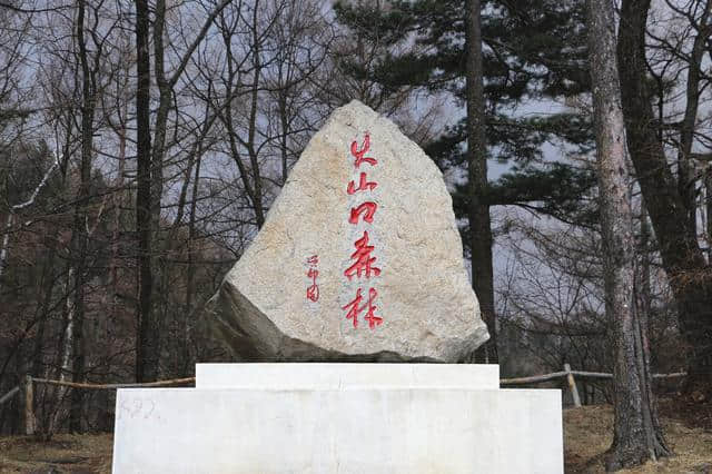 <a href='https://www.xacct.com.cn/tags/jingbohuhuoshan_662_1.html' target='_blank'>镜泊湖火山</a>口地下森林，探秘神奇的火山世界